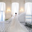 [W-12] 청주 웨딩 본식 스냅 체리비 후기-진천 한울 포레스트 스냅