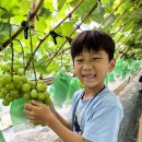 늘솔길공원1 이미지