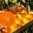 민우네농장 이미지