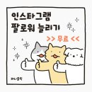 더클릭 | 인스타그램 팔로워 늘리기 무료 퍼니클릭으로 키워본 후기