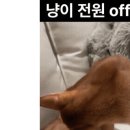 냥이 전원 off 버튼 이미지