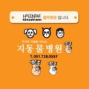 제일종합동물병원 이미지