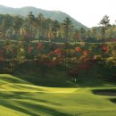 더 스타 이미지