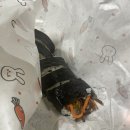 튼실맘김밥 이미지