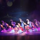 죽음도 갈라놓지 못한 사랑 이미지