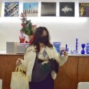 (주)케어시스 | 강아지이동가방 케어시스 강아지포대기 슬링백추천