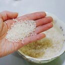 예농농장 이미지