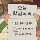 나님 in 京都 part 04.니조성-아라시야마-텐류지-헤이안신궁-숙소