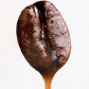 커피이레 이미지