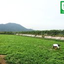 김기열 농장 이미지