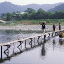 외나무 다리 - 최무룡 이미지