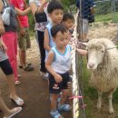 준성목장 이미지