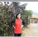 순천만 여행 이미지