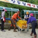 산들청과