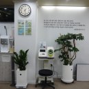 초록나무한의원 이미지