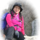 벌떼들 Daum카페