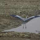 안성 조령천 이미지