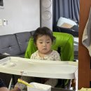 소일락 이미지
