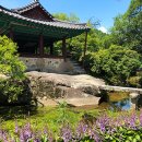 버스정류장(해소의숲공원) 뒤 | [경북/추천명소]봉화 국립백두대간수목원 켈리스골드 길, 5~6월에 꼭 가야 하는 황금빛 산책 코스