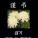 장*영