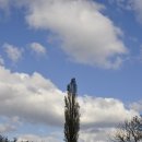 주희(JooHee) 이미지