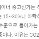 (주)다올쉬핑 네이버블로그