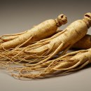 한국건강식품 이미지