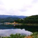 대전위니아주