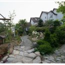 다로산 스파펜션 이미지