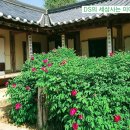 추사고택 월성위 묘앞 | 무릉도원 이상향, 추사 김정희 고택