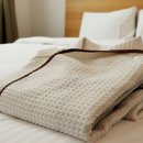 엑스포로123번길(유성-107) 이미지