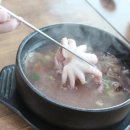 삼보가든 이미지