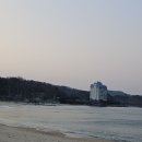 거진시장 Daum카페