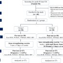 무릎 통증(K-L grade 2) 근력강화운동 + 다미주신경 트레이닝 혼합 효과.. 2023 네이처 이미지