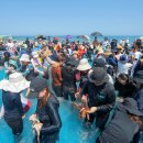 비너스타 이미지