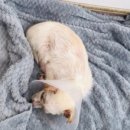 동석농장 이미지