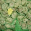 종서농장 이미지