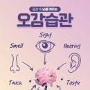 나이스카