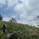 사당시장 이미지