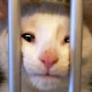 보타닉앤코 | 웨딩 블로그 _ 8. 보타닉파크웨딩 오키드홀 본식스냅...오라일리웨딩] 계약후기(짝꿍 할인 O/짝꿍코드 O)