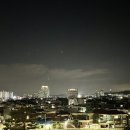 성남분당지사