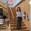미니만두 이미지