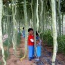 샘밭농장 이미지