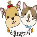 오렌지샵 이미지