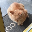 행복한그릇 이미지