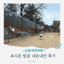 함박유치원 | [고양 애견카페 포시즌] 평일 유치원 운영, 주말만 이용 (운동장·입장료)