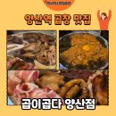 곱다곱창 | [양산 맛집] 중부동 곱창 맛집 곱이곱다 양산점 한우모듬곱창 후기