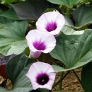 수석3통 마을회관 이미지