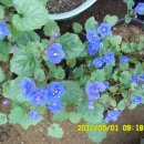 선산대로3-3 이미지