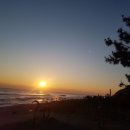 정근농장 이미지